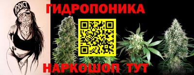 a pvp Краснознаменск
